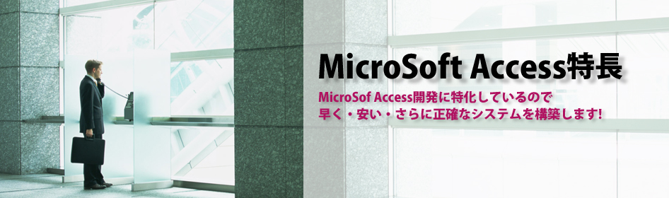 アクセス開発の特長